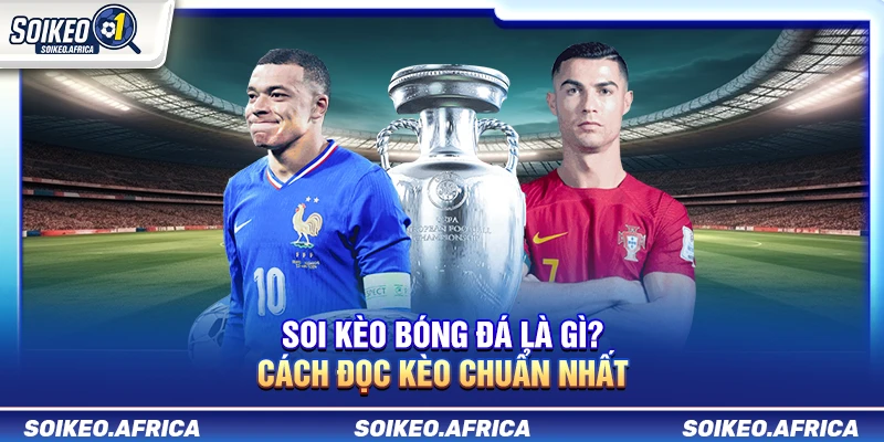 Soi Kèo Bóng Đá Là Gì? Cách Đọc Tỷ Lệ Cho Người Mới Soi Kèo Bóng Đá Là Gì? Cách Đọc Kèo Chuẩn Nhất