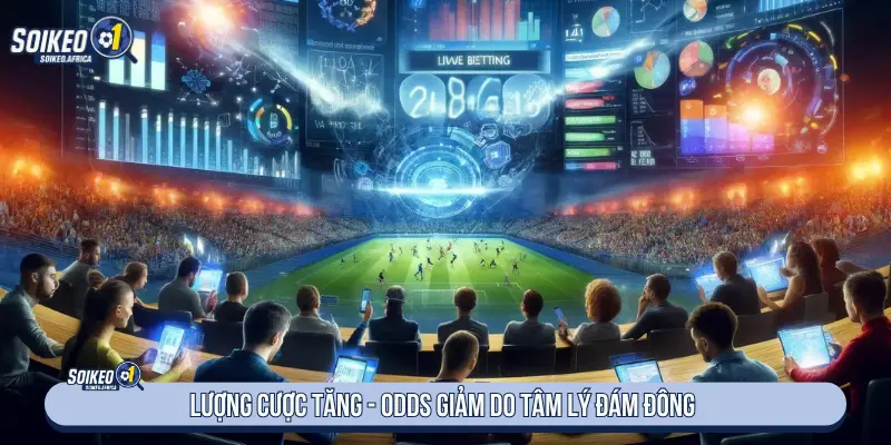 Soi Kèo Các Trận Hot Hôm Nay: Cách Lọc Nhiễu & Đọc Odds Biến động odds ở các trận bóng đá được chú ý nhiều