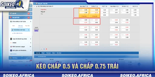 Đọc Tỷ Lệ Kèo Châu Á Trước Trận: Handicap & Odds Đọc tỷ lệ kèo châu Á trước trận qua các mốc handicap phổ biến